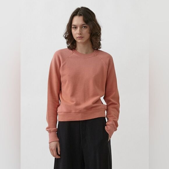 Re/done Hanes Classic Raglan Crewneck Sweatshirt Faded Clay Size Small NWT - Picture 6 of 11